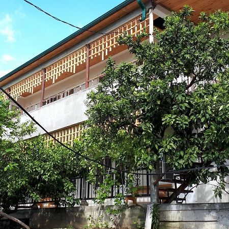 Inzhir Guest House New Athos Exterior photo