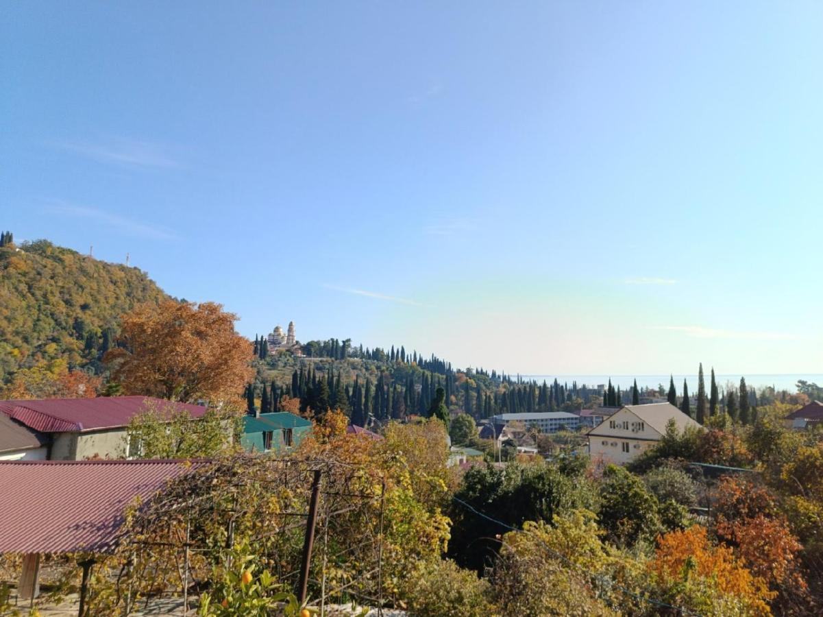 Inzhir Guest House New Athos Exterior photo