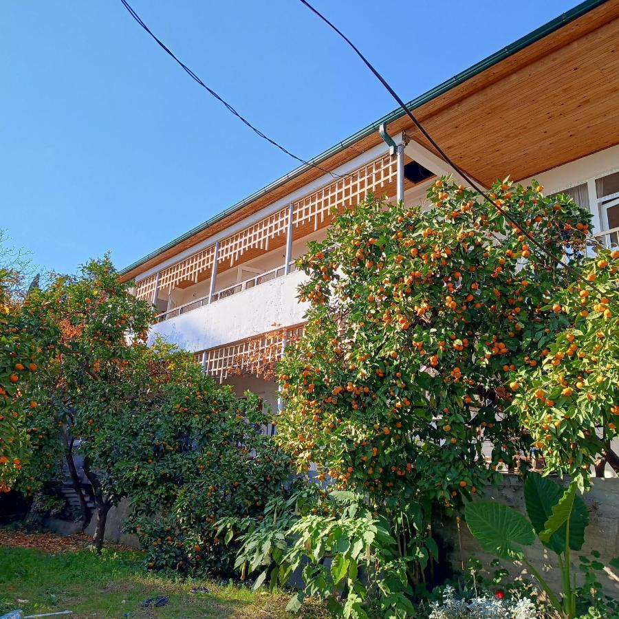 Inzhir Guest House New Athos Exterior photo
