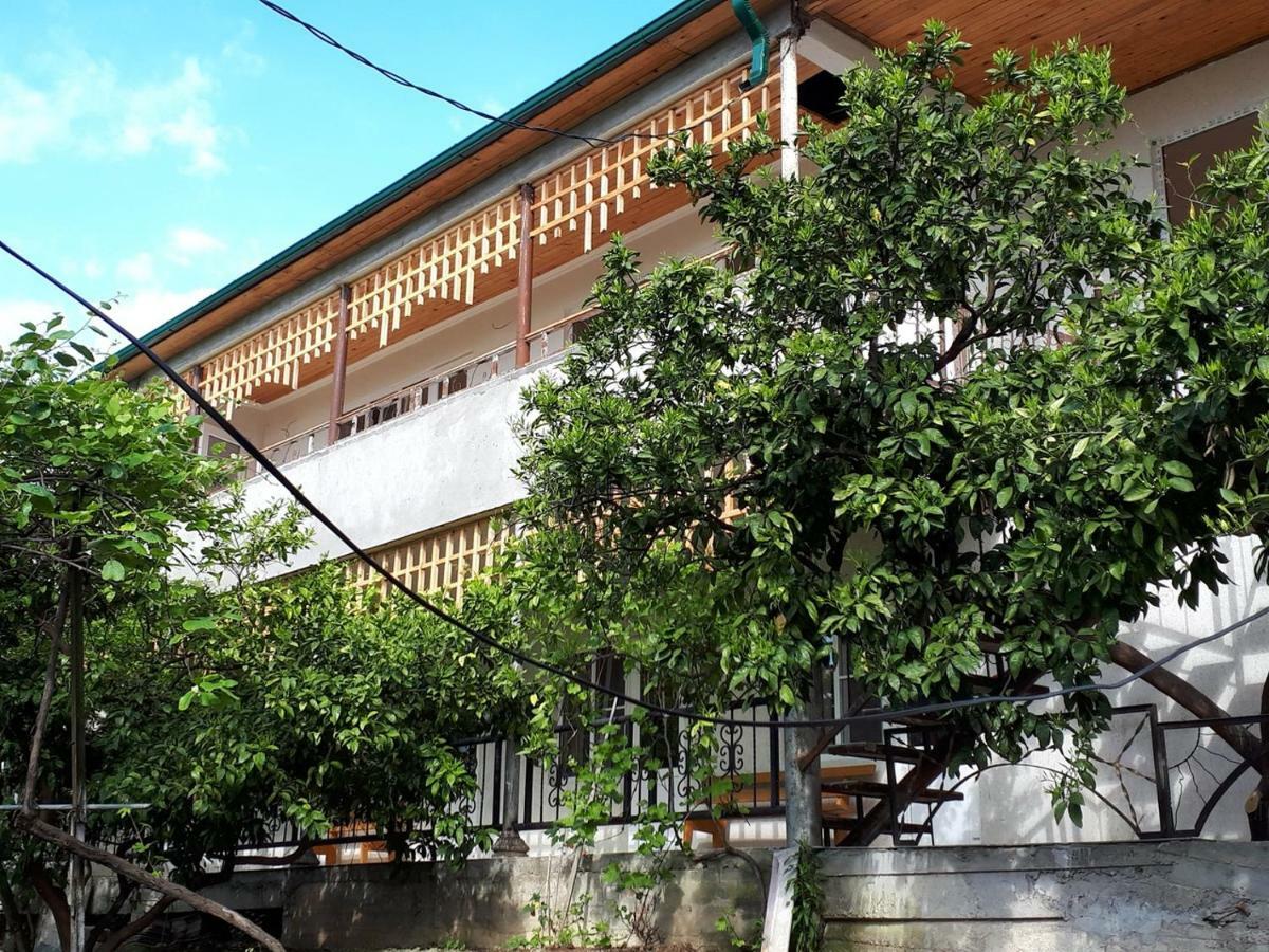Inzhir Guest House New Athos Exterior photo